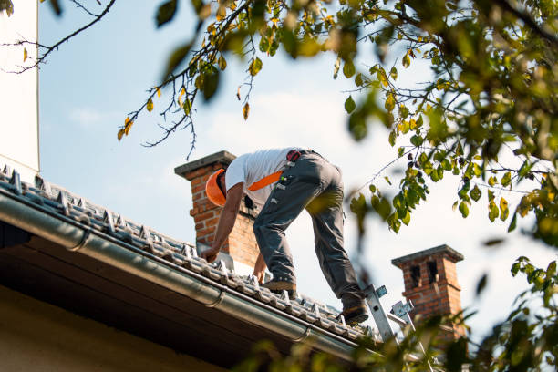 Best Roof Gutter Cleaning  in Kualapuu, HI